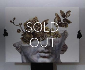 F.S.O.P. CANVAS EDITION